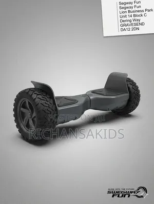 Customised High End Hoverboards With Extra Chargers & Free Delivery