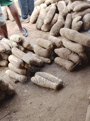 50kg Bag of Stone Free Nigeria Rice and Clear Ijebu Garri and Yams.