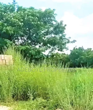 A Plot of Land for Sale