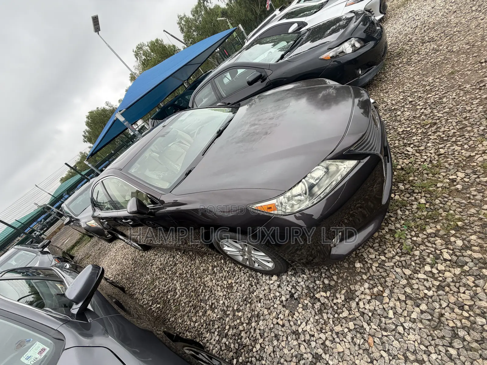 Lexus ES 2015 Brown