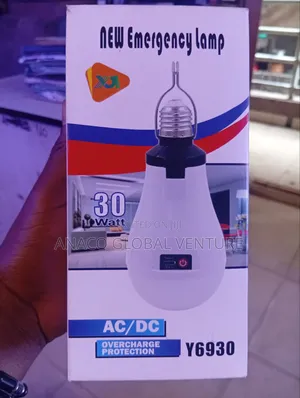 30w Rechargeable Bulb White Light