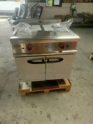 Gas Deep Fryer Standing