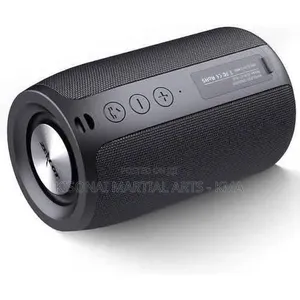 Portable Loud Zealot MP
