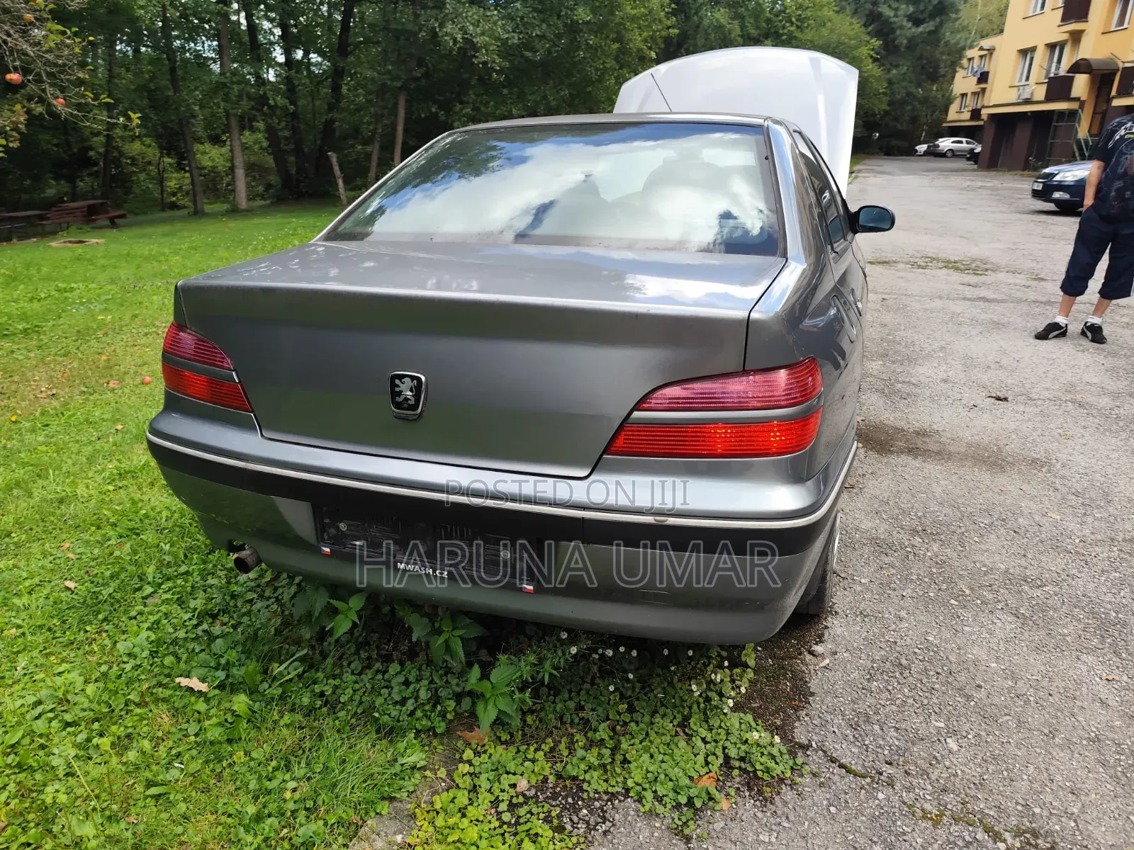 Peugeot 406 2004 Gray