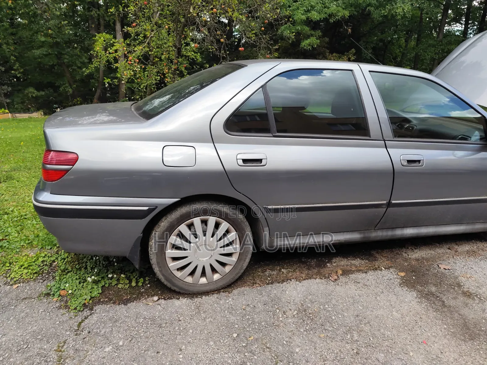 Peugeot 406 2004 Gray