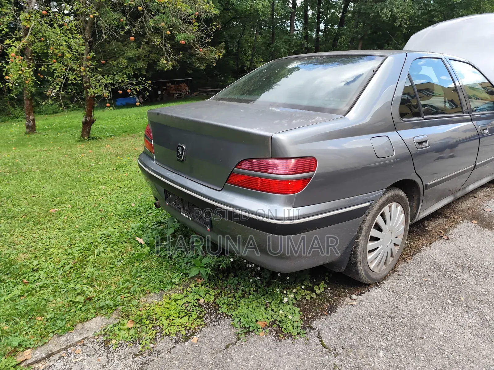 Peugeot 406 2004 Gray