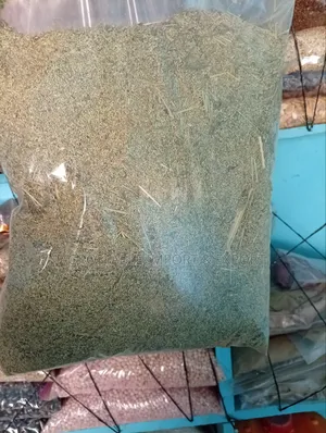 Panicum Maximum 1kg