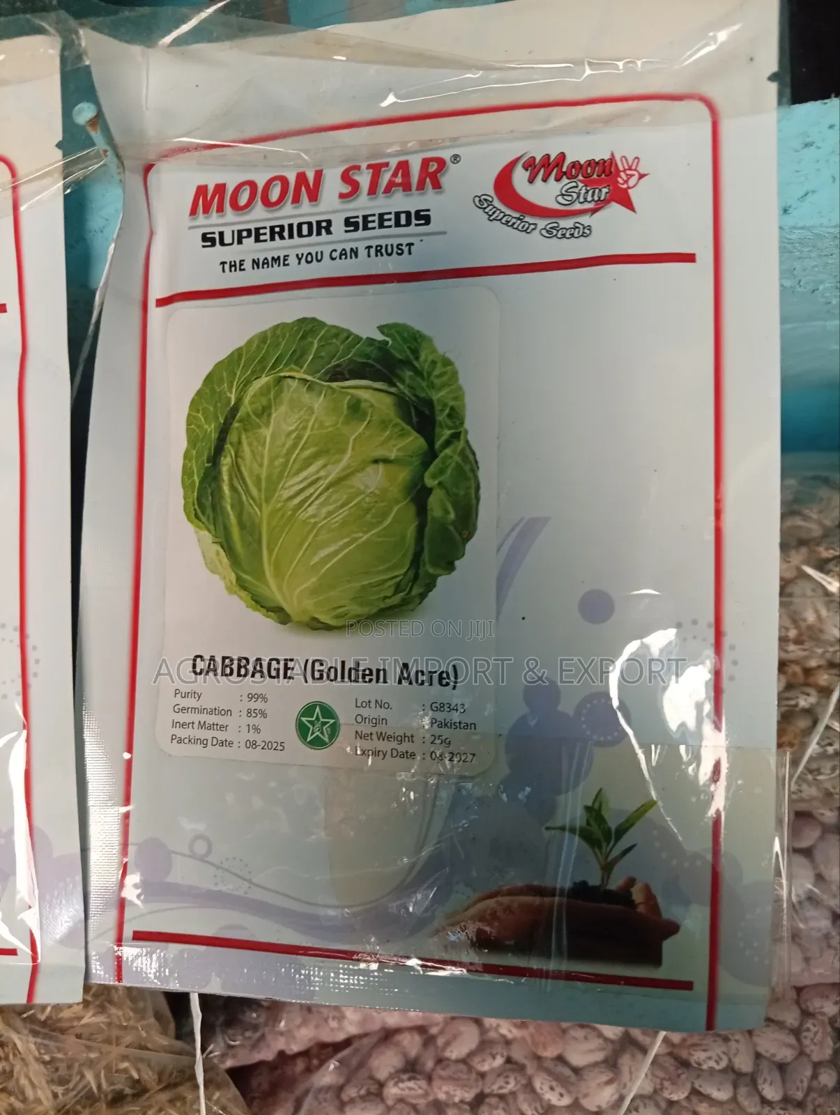 Cabbage Seed