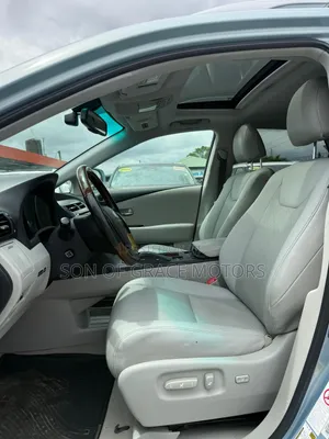 Lexus RX 2010 Blue