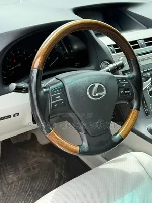 Lexus RX 2010 Blue