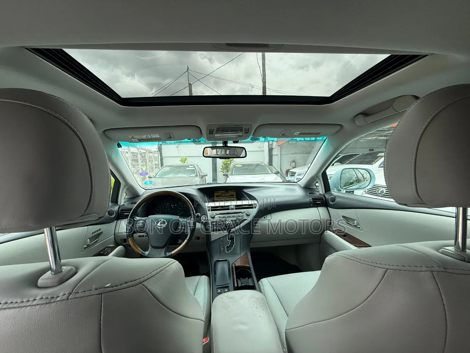 Lexus RX 2010 Blue