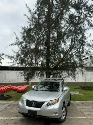 Lexus RX 2010 Silver