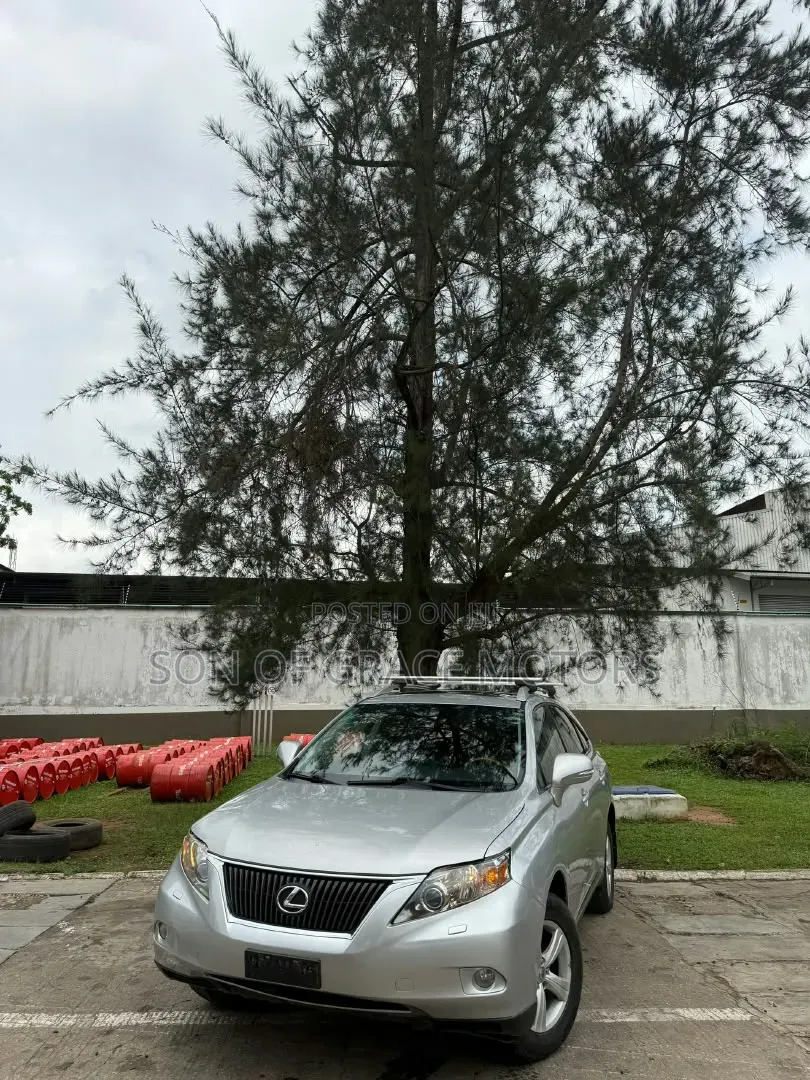 Lexus RX 2010 Silver