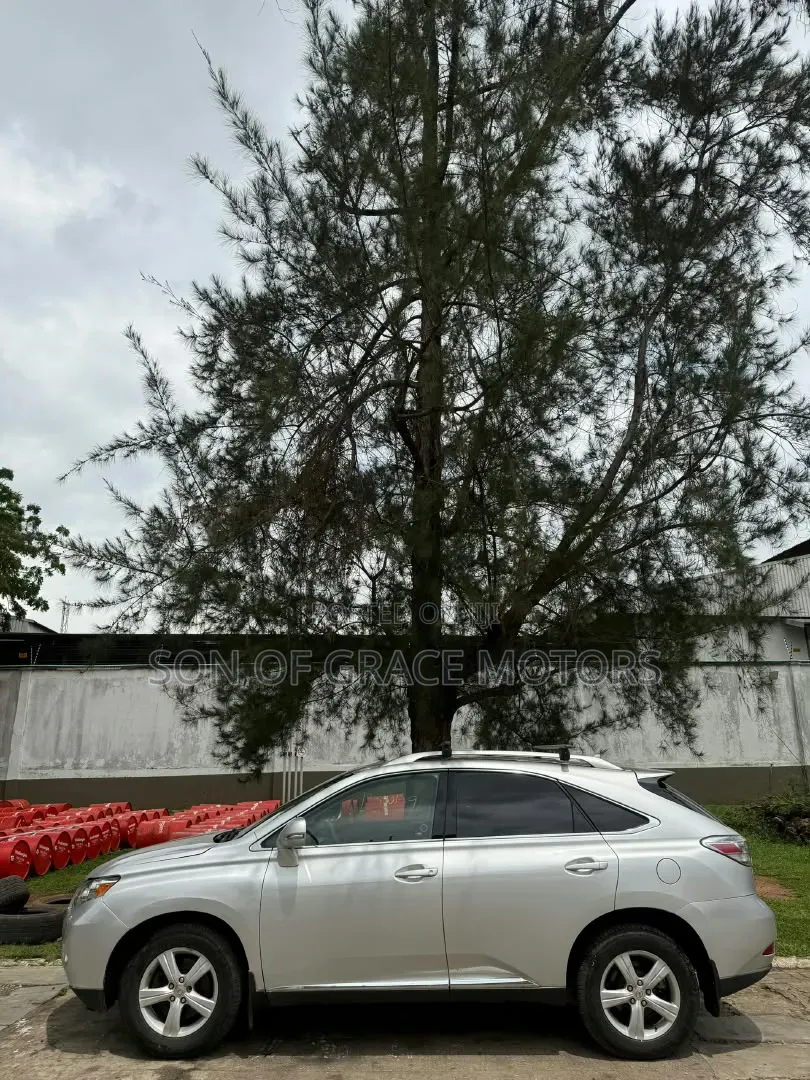 Lexus RX 2010 Silver