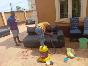 Professional Sofa and Rug Cleaning