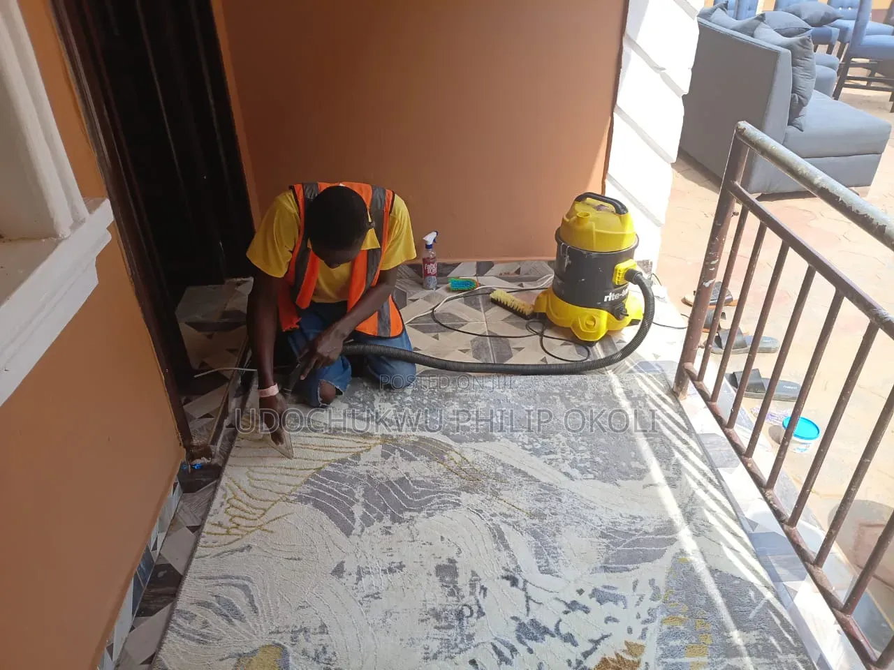 Professional Sofa and Rug Cleaning