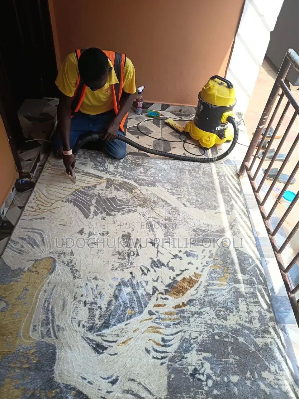 Professional Sofa and Rug Cleaning