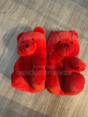 Teddy Bear Indoor Shoe for Ladies