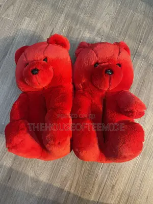Teddy Bear Indoor Shoe for Ladies