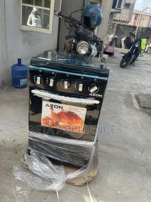 Aeon 3+1 Household Standing Cooker