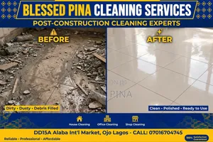 Professional Cleaning Service