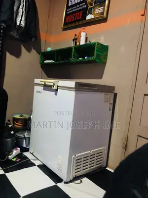 Skyrun Chest Freezer