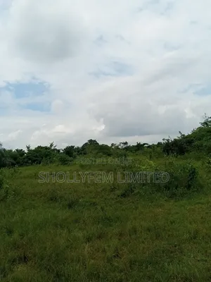 500 Acres of Farm Land for Sale in Ila