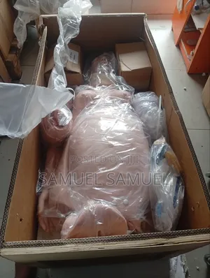 Obstetric Simulator Manikin Electric (Complete With All Accessories)