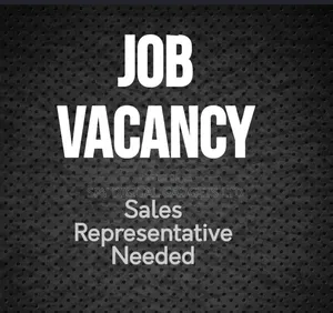 Sales & Marketing Representative (BAGS Project)