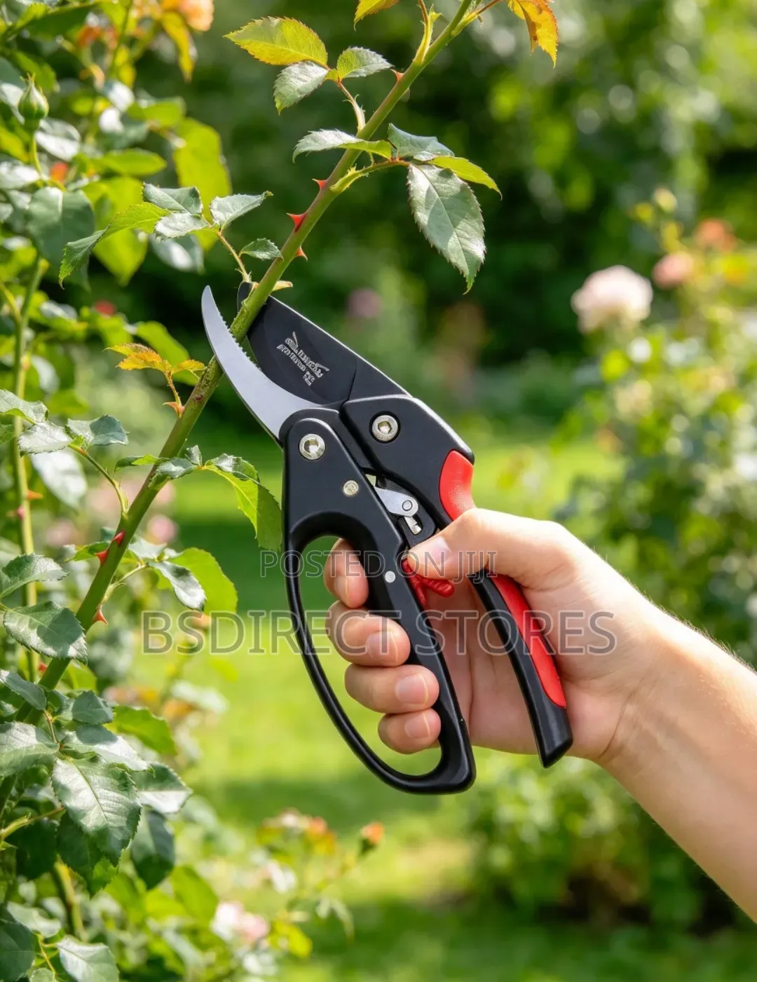 Wilkinson Sword Comfort Ratchet Anvil Pruner Secateurs