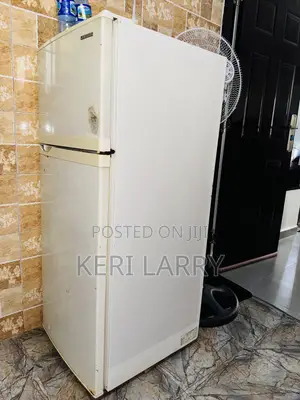 Samsung Fridge