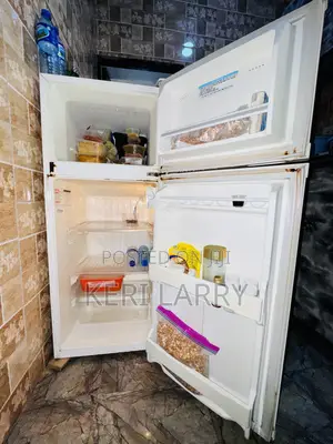 Samsung Fridge