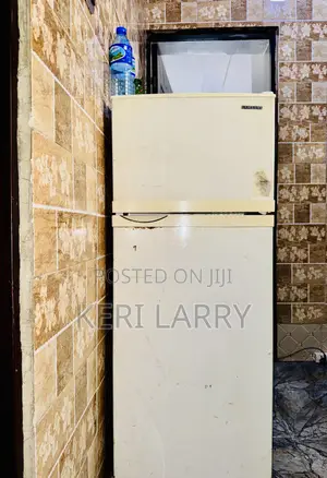 Samsung Fridge