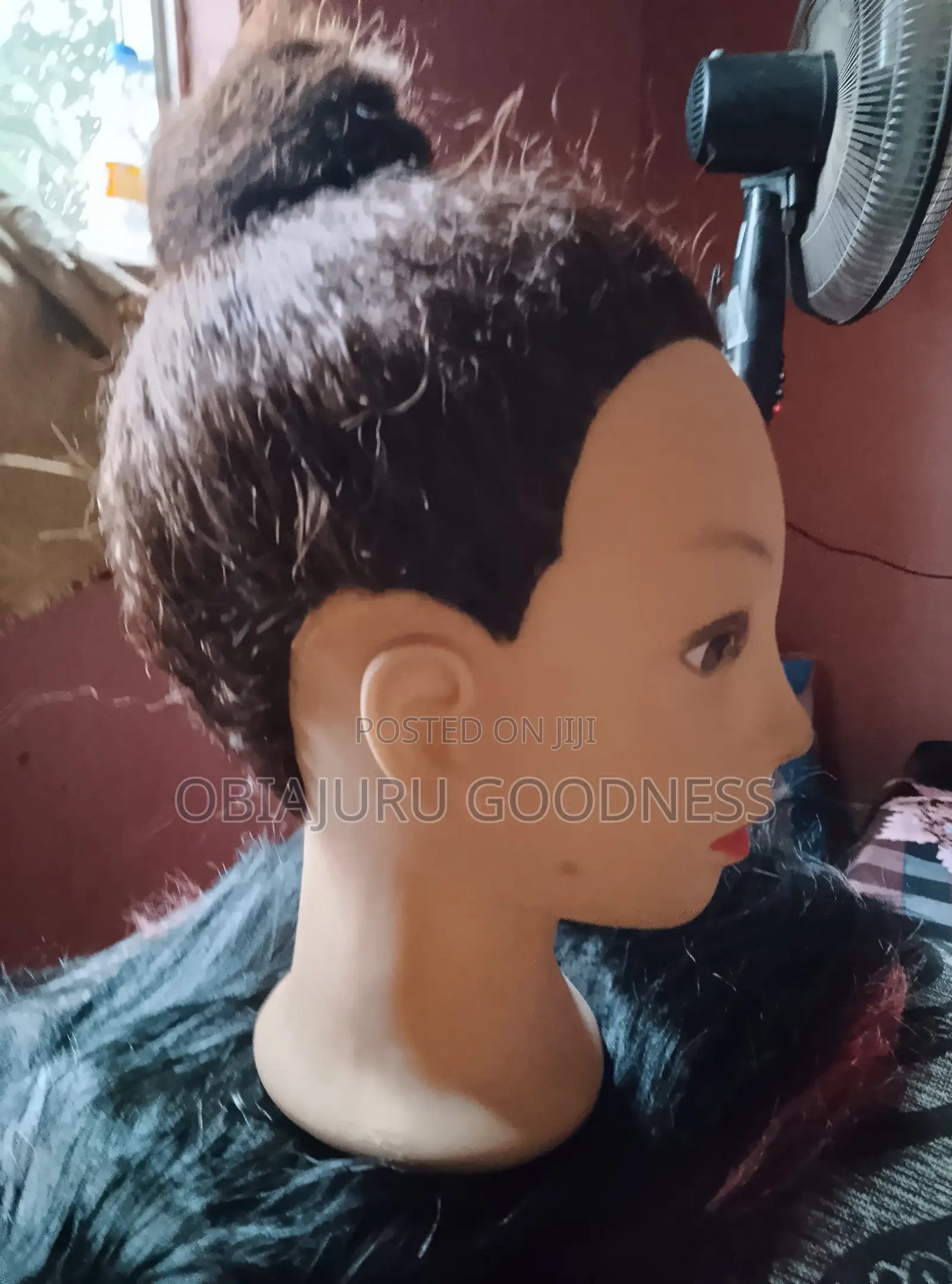 Head Dummy With Hair