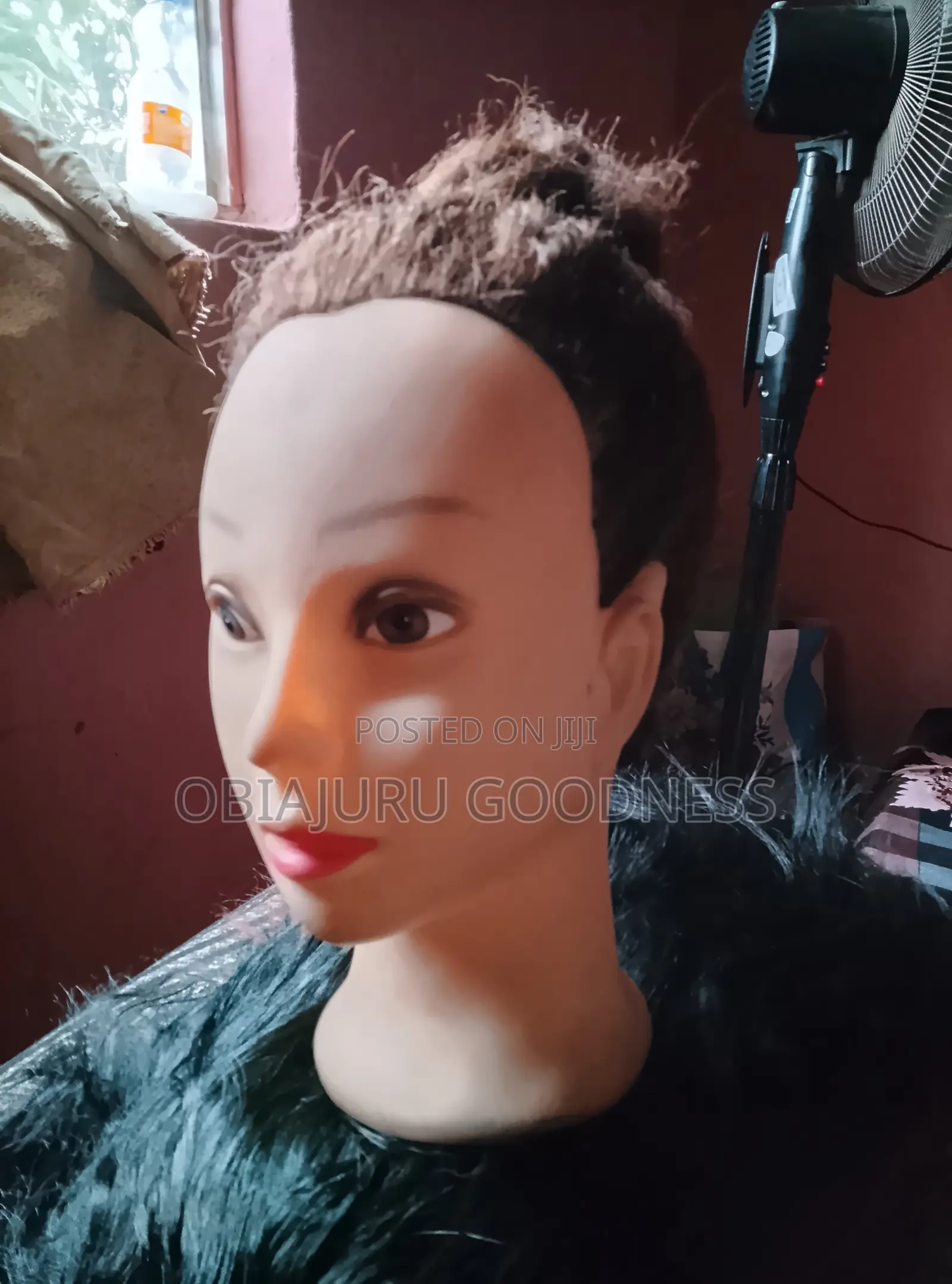 Head Dummy With Hair