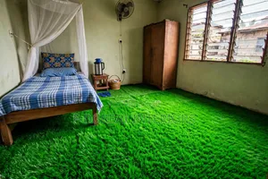 Artificial Grass Artificial Rug Normal Rug