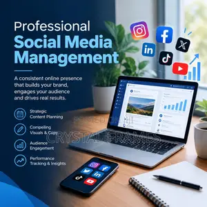 Professional Social Media Management