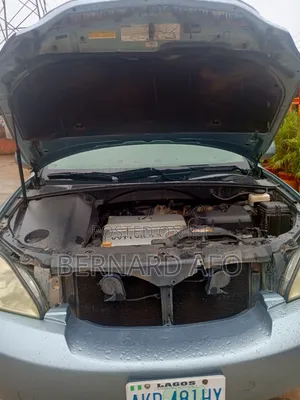 Lexus RX 330 2005 Blue