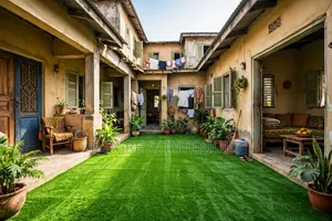 Artificial Grass Very Beautiful for School Playground