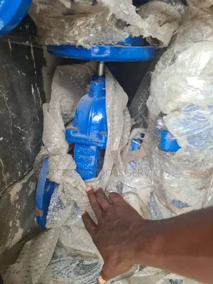 6" Gate Valve DN150