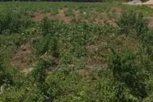 2058Sqm Residential Land for Sale in Zuba