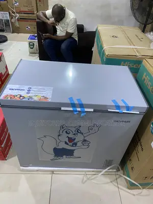Skyrun BD-250AI 200L Inverter Chest Freezer for Business