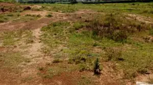 7571Sqm Land for Public Institution for Sale in Wawa