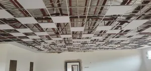 Install Suspended Ceiling