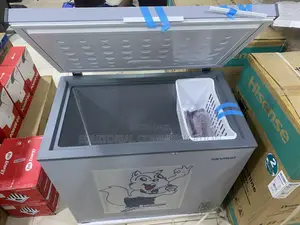 Skyrun 200L Inverter Chest Freezer BD-250AI Commercial