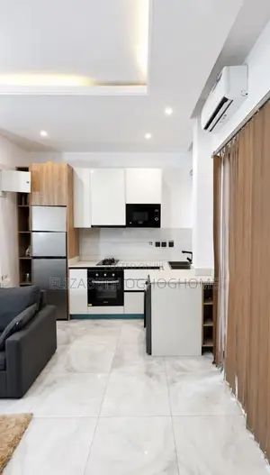 Furnished Mini Flat in Lekki Phase 1 for rent