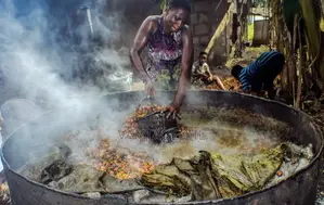 Red Oil Supplier in Ijebu-Ode – Wholesale & Bulk Sales