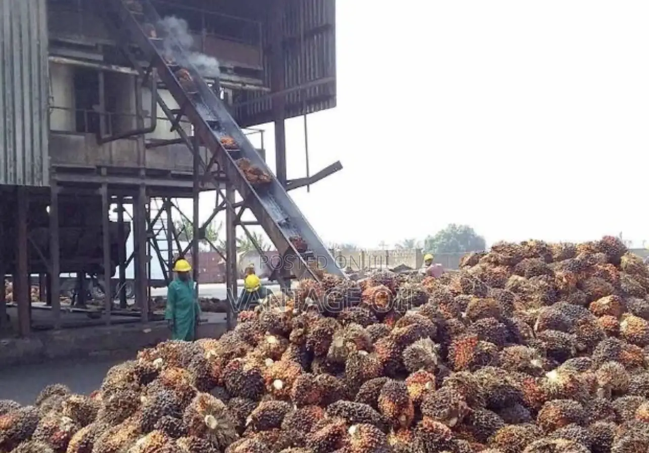 Red Oil Supplier in Ijebu-Ode – Wholesale & Bulk Sales