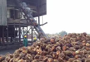 Red Oil Supplier in Ijebu-Ode – Wholesale & Bulk Sales