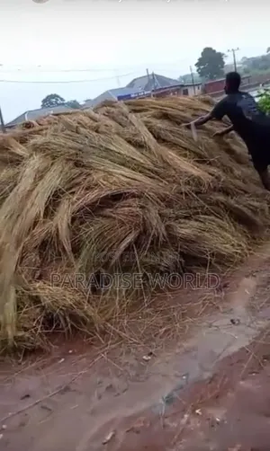 Thatch Grass, Materials